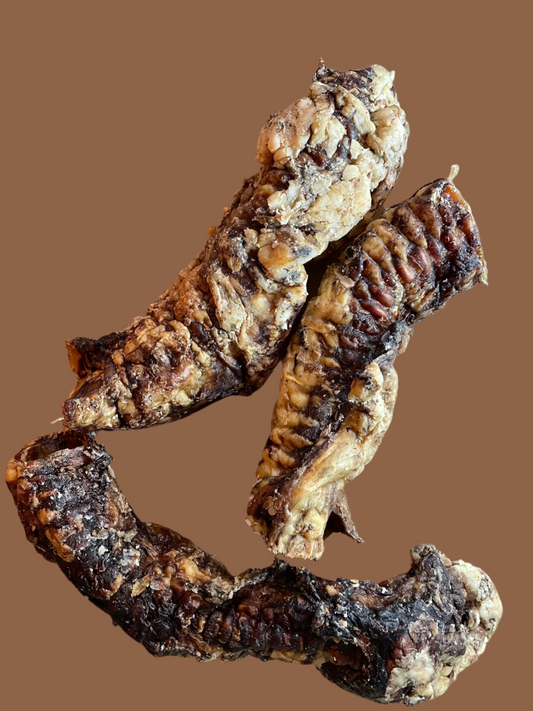Beef Trachea.  Dried.