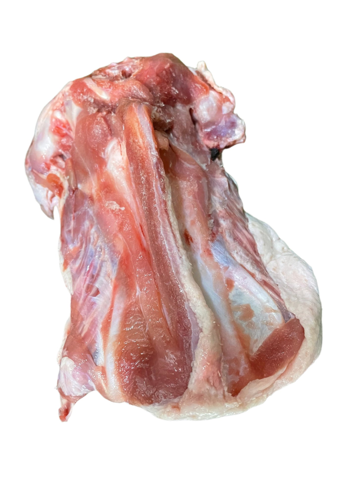Duck Carcass