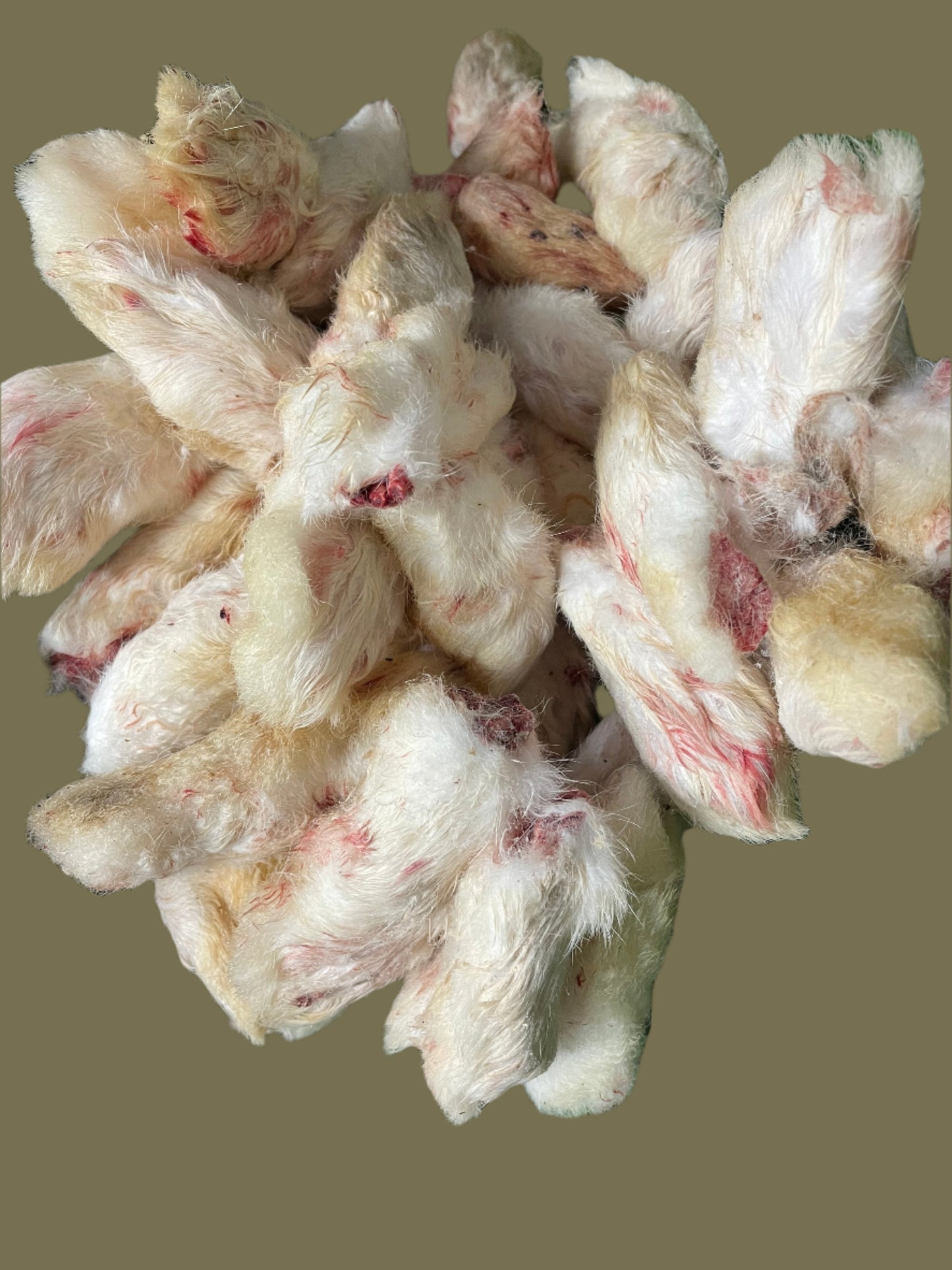 Rabbit Feet - Raw and Furry. Approximately 1kg