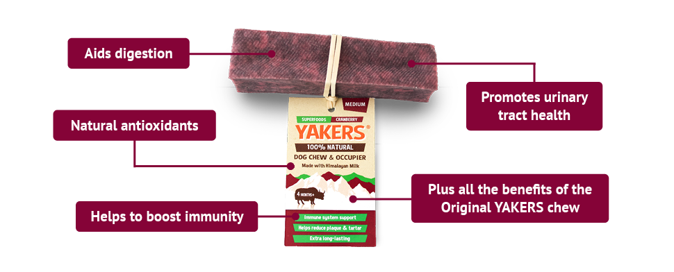 Yakers - Himalayan Dog Chews