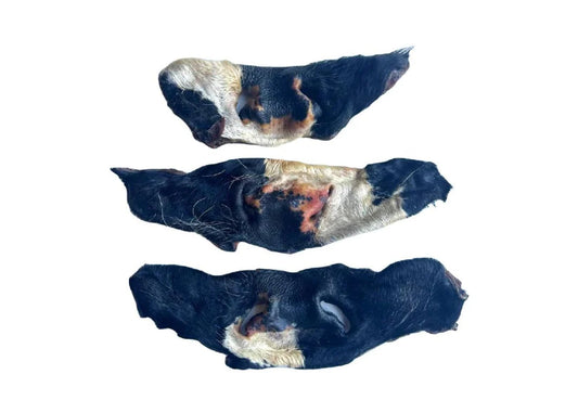 Beef - Cow Nose with Hair