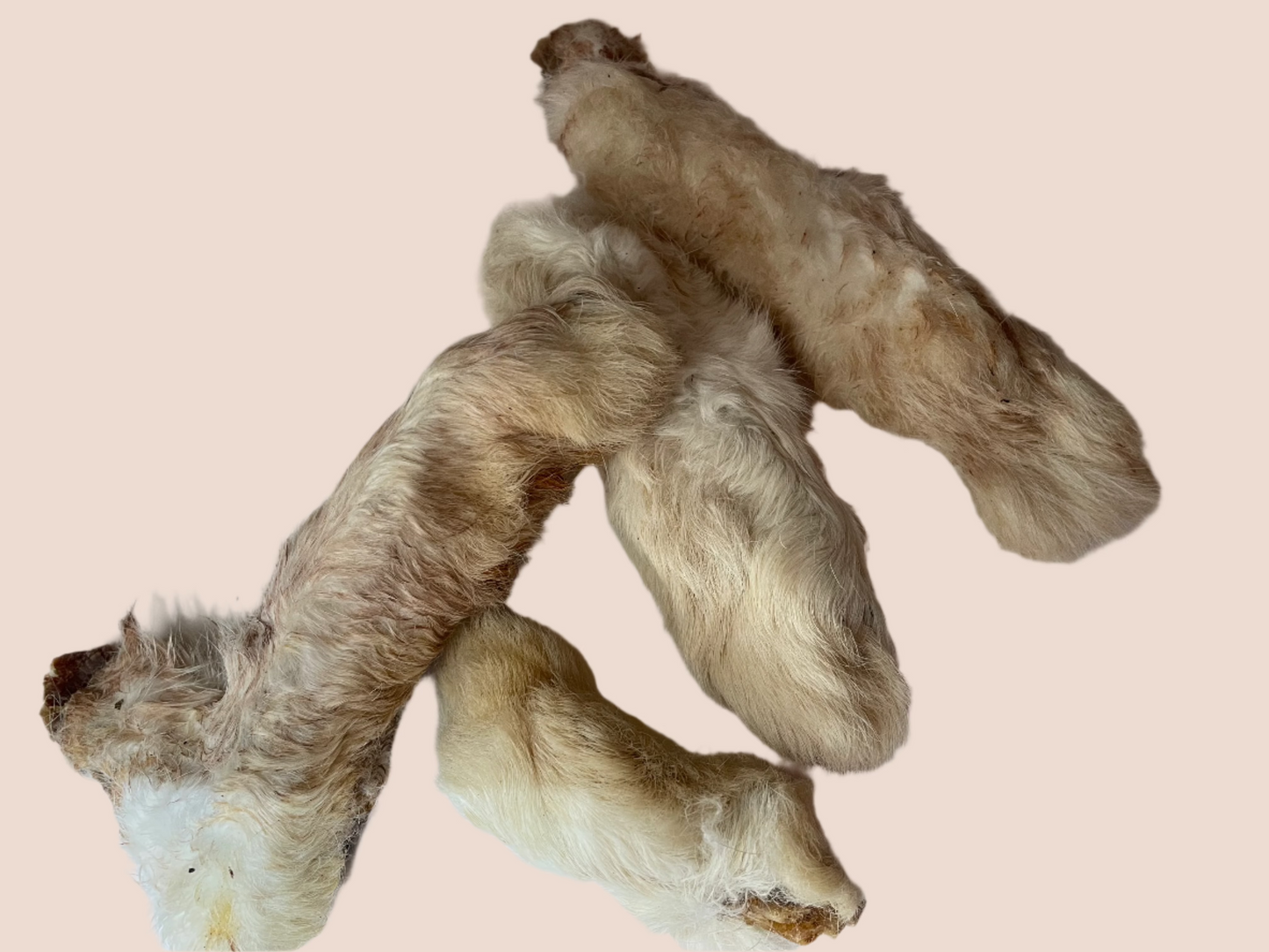 Rabbit Feet (Dried) with Fur. 100g (Approx)