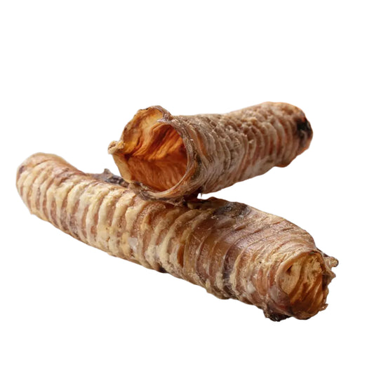 Beef Trachea Dried - Hollings