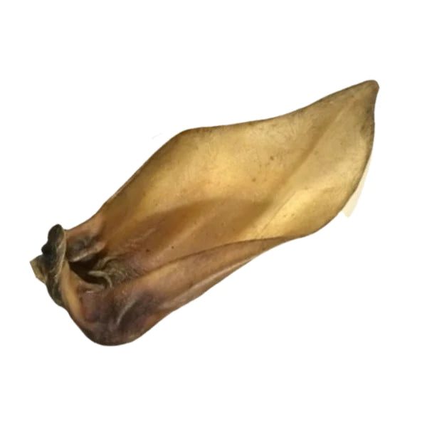 Buffalo Ears - Dried