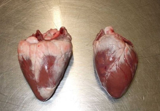 Hearts - Lamb Hearts - RAW - Approx 1kg (5 hearts)