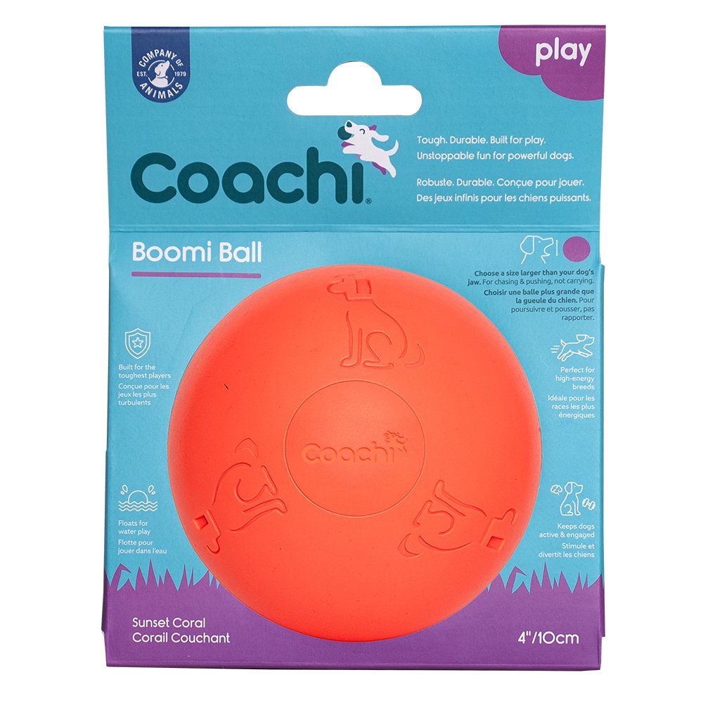 Coachi Boomi Ball.  Virtually Indestructible.