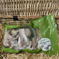 Fish - White Fish Pieces / Chunks - Raw.