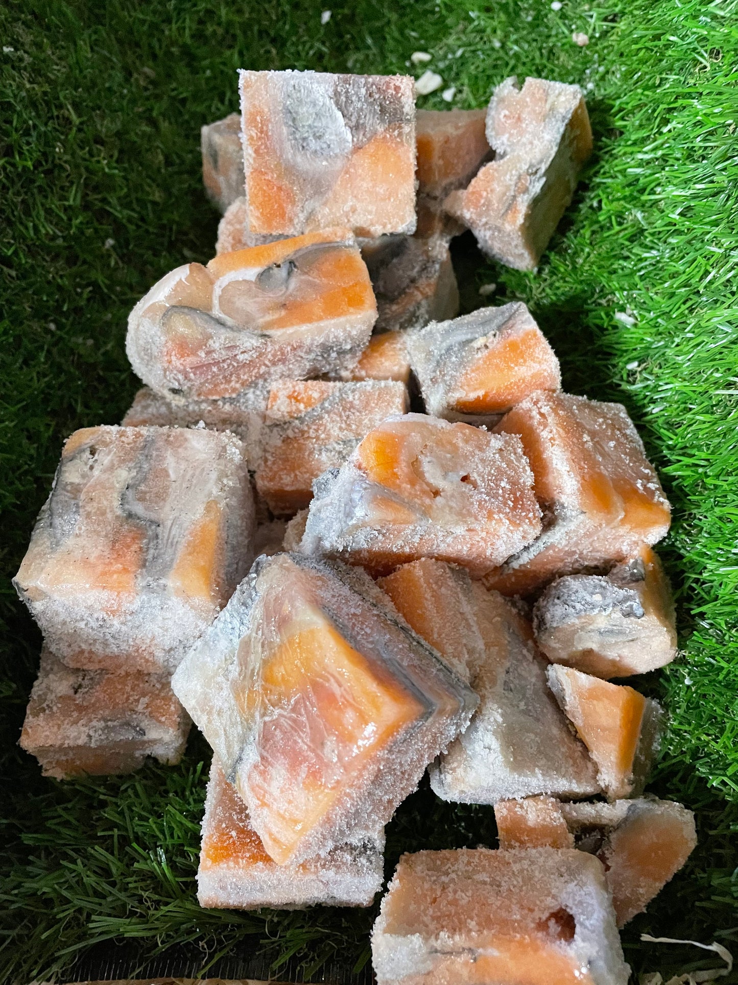 Fish - Salmon Chunks - Raw.