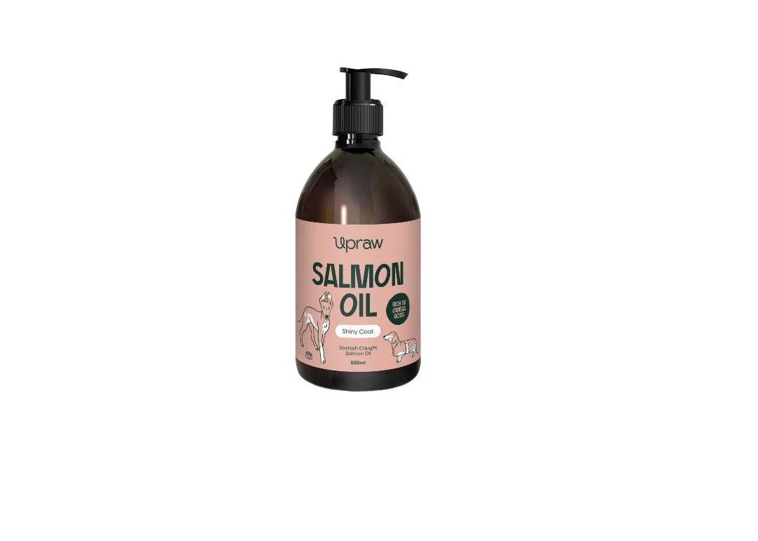 Salmon OIl - 500g - with handy pump