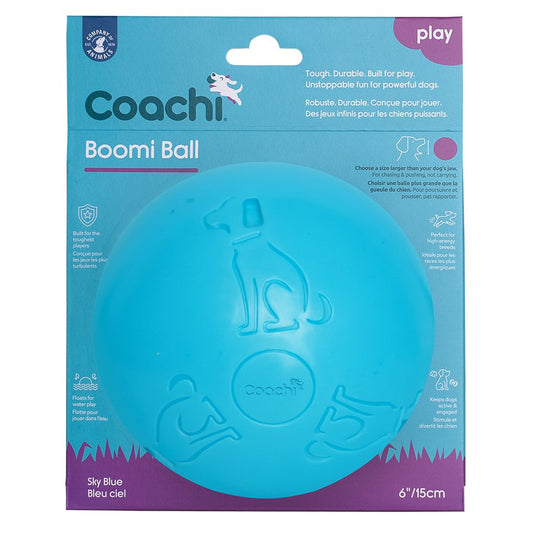 Coachi Boomi Ball.  Virtually Indestructible.