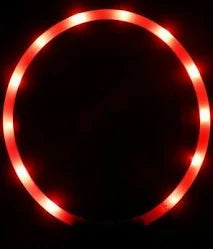 LED Flashing Loop