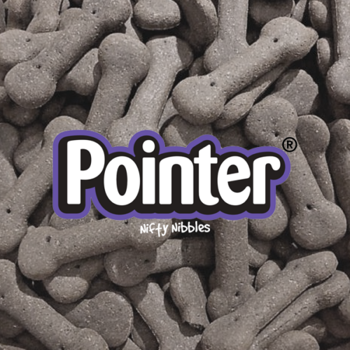 Pointer Charcoal-Enriched Large Bone Biscuits