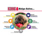 Kong Classic Red - Sm, Med, Lge