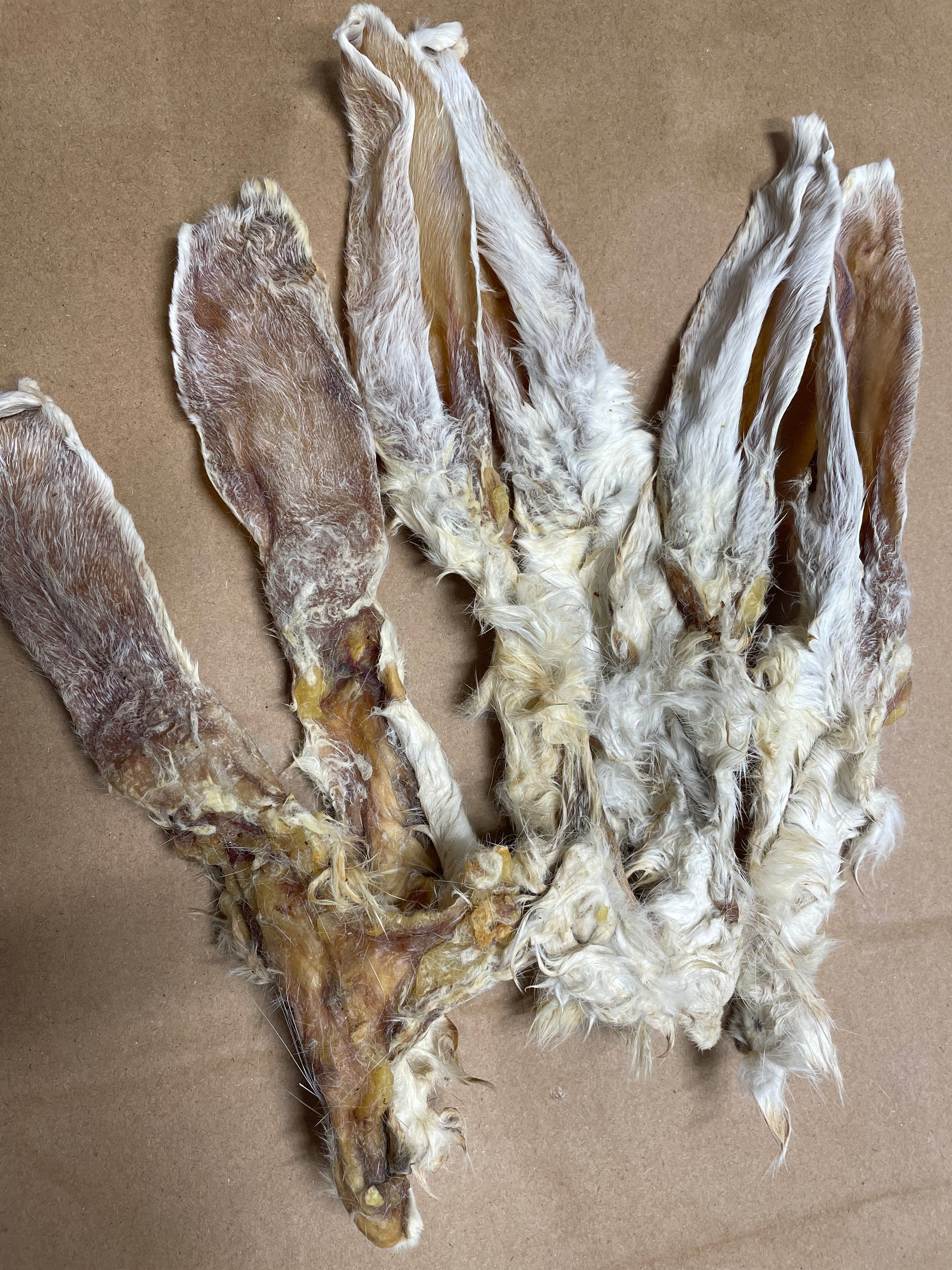 Rabbit Ears - Dried (with fur). – TheRawFoodWarehouse