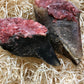 Stuffed Hooves - Raw (2 per pack) - Approx 350g.
