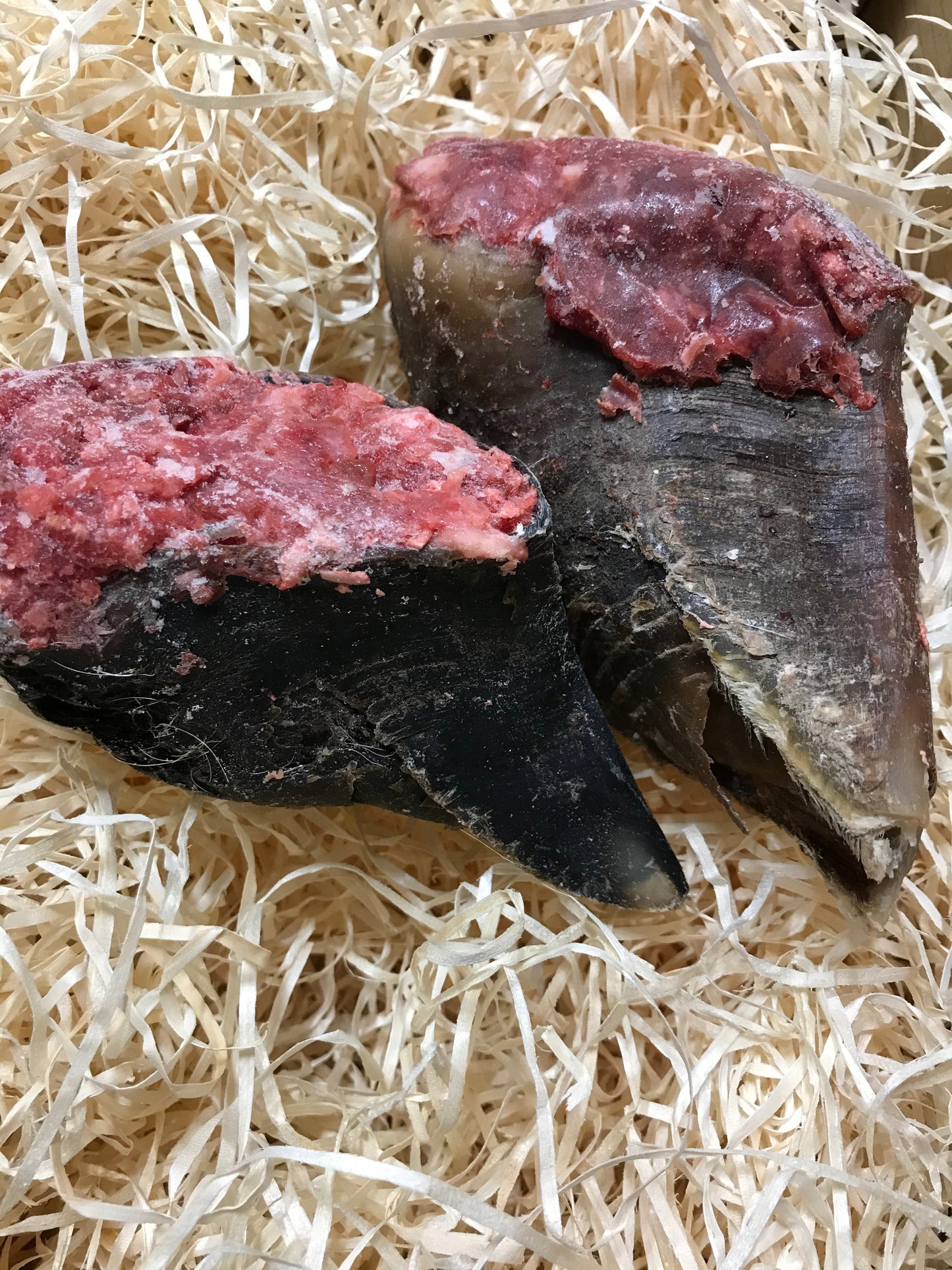 Stuffed Hooves - Raw (2 per pack) - Approx 350g.