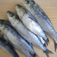Fish - Sardines - Whole.  Raw.