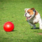 Boomer Ball 6"