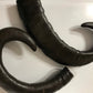 Buffalo Horn