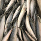Fish - Mackerel - Whole.  Raw.  Approximately 1kg