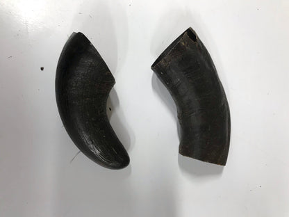 Buffalo Horn