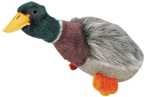 Happy Pets Migrator Mallard